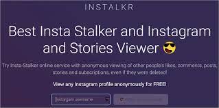 Our instagram story viewer & downloader is absolutely free for all users. 10 Best Instagram Story Viewers In 2021 Anonymous And Free