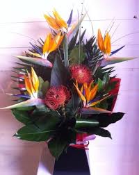 Bird Of Paradise Flower Bouquet Uk Bird Of Paradise Heaven Birds Of Paradise Birds Flowers