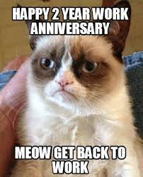 It s your work anniversary thanks for being so. Meme Creator Funny Happy 2 Year Work Anniversary Meow Get Back To Work Meme Generator At Memecreator Org