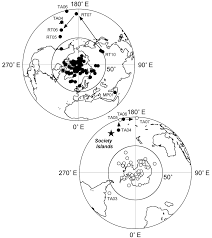 Image result for Polyphlebium borbonicum