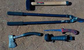 Maybe you would like to learn more about one of these? How To Sharpen Garden Tools Insteading