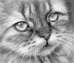 How to draw darla dimple from cats don't dance. Black And White Cat Drawings Fine Art America