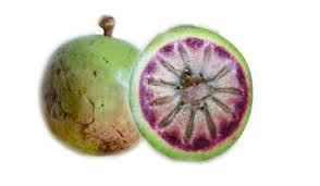 The star fruit tree is a sub tropical species that is said to have fruit like and apple and grape with citrus undertones. Caimito Star Apple Tree Green Variety