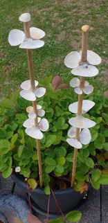Insektentranke Garten Gestalten Blumenbeet Gestalten Balkon Pflanzen