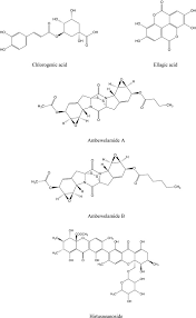 Masukkan ceker presto, lalu bumbui dengan. Usnea Sp Antimicrobial Potential Bioactive Compounds Ethnopharmacological Uses And Other Pharmacological Properties A Review Article Sciencedirect