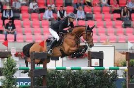 We did not find results for: Caf84g Fxmykum