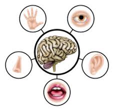 Top 5 Disabilities Caused By Traumatic Brain Injury