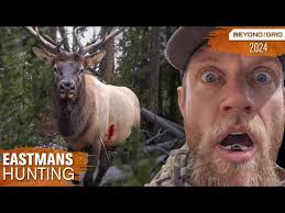 Dead bull walks up to me! Bow Hunting Elk & Moose