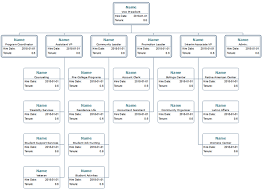 Student Union Org Chart Template