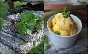 Sort through, and remove any husks or debris. Rhubarb Soup And Spruce Tip Ice Cream Rabarbragrot Og Granskuddiskrem North Wild Kitchen