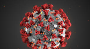 فيروس الكورونا COVID-19 | أخبار الأمم المتحدة