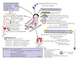 Newborn Assessment Neonatal Nurse Child Nursing Nursing Students