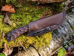 Image result for Sorindeia winkleri