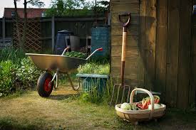 We don't settle for boring plants. 5 Garden Essentials For Every Level Of Expertise Homes Gardens