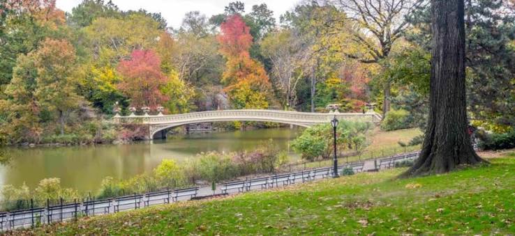 Local recreation destination