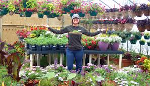 The primary charge is that the plant closed when bush was still president. Johnson S Gardens Cedarburg Wi Local Garden Center