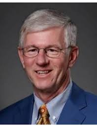 Who are local land or property surveyors?