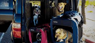Therefore, the services they provide will vary from member to member. Group En Route Pet Transportation Ground Cross Country
