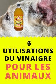 Shaker le tout, filtrez et transvasez dans un vaporisateur. Vous Avez Un Animal 6 Utilisations Du Vinaigre Qui Vont Simplifier La Vie