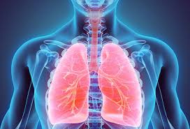 It may be found during a chest. Are There Early Warning Signs Of Lung Cancer The Well By Northwell