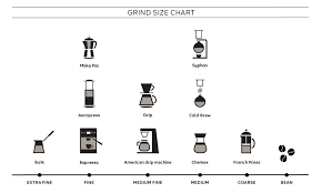 size chart kalei coffee co