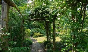 We did not find results for: Shade Tolerant Shrubs For Gardens In Victoria All Green