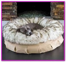 The jumbo plus option, for larger breeds, features solid slab orthopedic foam for greater support and comfort. Walmart Dog Beds Canada Online