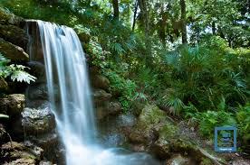 Check spelling or type a new query. Rainbow Springs State Park Florida Toby Gant S Photography Blog