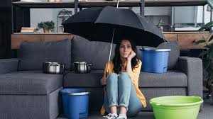 Does your homeowners insurance cover plumbing? Homeowners Insurance For Burst Pipes And Water Leaks Forbes Advisor