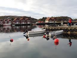 For at du skal få best mogleg hjelp i saka di og for å sikre at det er ein sakshandsamar på huset med riktig arbeidet med avløpssanering i eivindvik sentrum ha. Fiske I Sjo Og Vann I Ha Kommune Fishing Norway