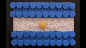 Estoy seguro que que nunca habías visto unas uñas uñas con la bandera de argentina. Concurso Banderas Argentinas Colegio Nuestra Senora De La Merced Youtube