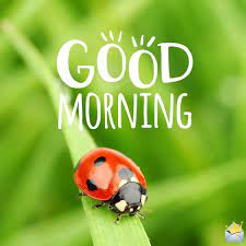 Share our cool designer inspirational images with loved ones and friends! The Best Good Morning Pictures Ever On The Sunny Side Morning Pictures Good Morning Wednesday Good Morning Picture