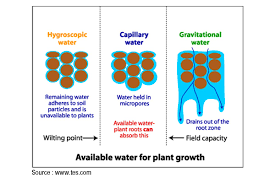 We did not find results for: Water Retention In Soil Characteristics And Treatment Geography And You