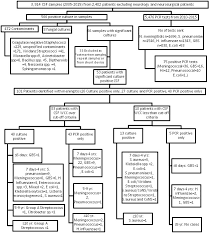 Image result for CSF PCR