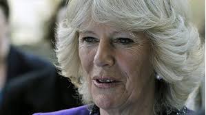 Camilla's remarkable royal transformation