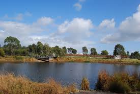 Maybe you would like to learn more about one of these? Casey Fields Lake Welcomes More Native Fish Vfa
