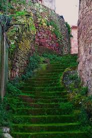 Moss Stairs Sardegna Sardegna Italia Paesaggi