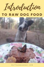 An Introduction To Raw Dog Food The Land Of Mutts And Honey In 2020 Raw Dog Food Recipes Healthy Dog Food Recipes Dog Food Recipes