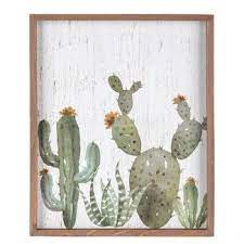 Pin On Succulents Cacti