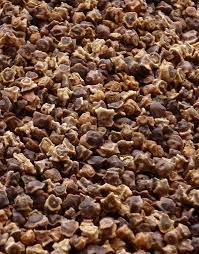 How To Grow Sugar Beets Like A Pro Deer Creek Seed Food Plots For Deer Deer Food Food Plot