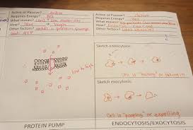 We also love empowering teachers and student. Biology Notes Helpful Documents
