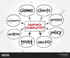 What is an insurance underwriter? Insurance Underwriter Image Photo Free Trial Bigstock
