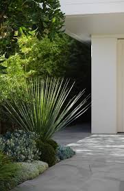 Gardens Of Sydney Modern Landscaping Modern Landscape Design Landscape Design