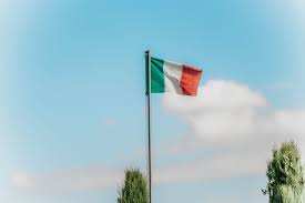 Multiple/dual citizenship (or multiple/dual nationality) is a legal status in which a person is concurrently regarded as a national or citizen of more than one country under the laws of those countries. Pkmu6y Zyljeom