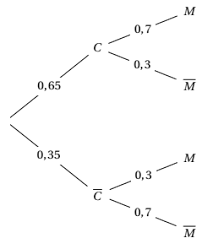 Belles vacances immobilier à saint lary est le spécialiste de la location d'appartement à saint lary et de studio. E3c2 Specialite Maths Probabilites 2020 Correction