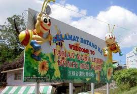 Mencari tempat menarik di cameron highlands? Panduan Bercuti Di Cameron Highlands Percutian Bajet