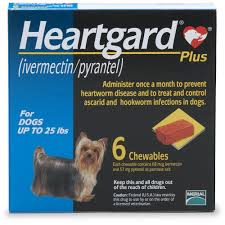 When your pet's suddenly not feeling his best or 3 reasons to buy pet insurance in ct. Heartgard Plus Chewables For Dogs Up To 25 Lbs 6 Month Supply Petco Heartworm Disease Heartworm Dogs