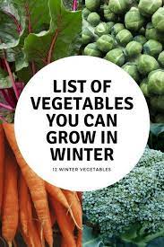 12 Vegetables You Can Grow All Winter Winter Vegetables Gardening Fall Garden Vegetables Growing Winter Vegetables