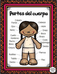 We did not find results for: Cuaderno Aprendo Mi Cuerpo Materiales Educativos Para Maestras