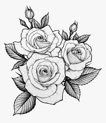 Pin On Rose Drawing Tattoo